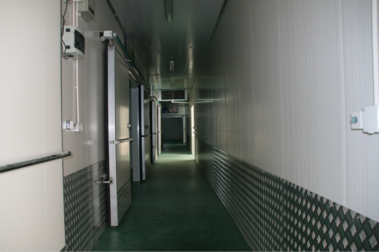 1615363555958063979.jpg 1.jpg